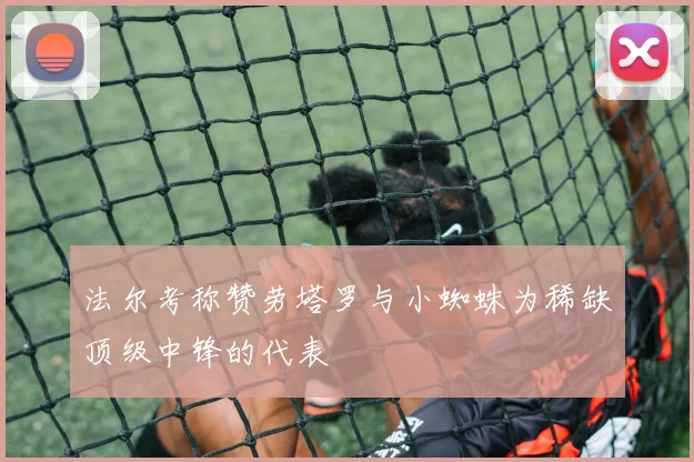 法尔考称赞劳塔罗与小蜘蛛为稀缺顶级中锋的代表