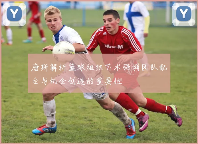 唐斯解析篮球组织艺术强调团队配合与机会创造的重要性