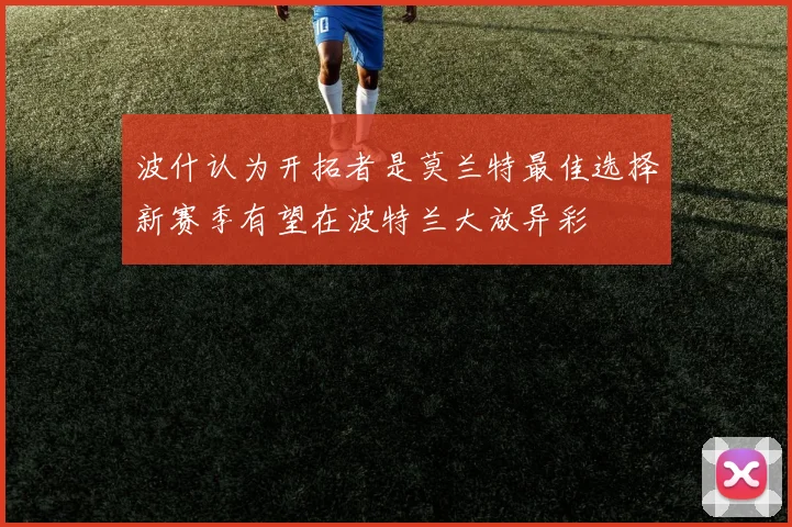 波什认为开拓者是莫兰特最佳选择新赛季有望在波特兰大放异彩