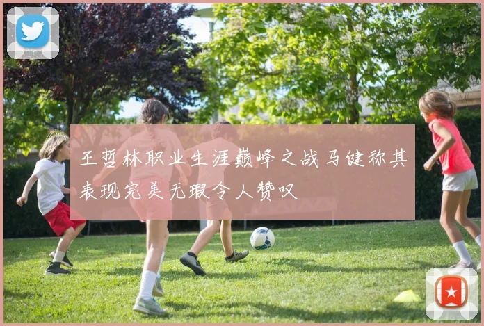 王哲林职业生涯巅峰之战马健称其表现完美无瑕令人赞叹