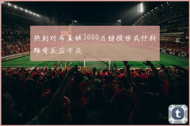 热刺对布莱顿3000万镑报价武什科维奇反应冷淡